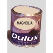 Dulux paint magnolia