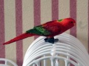 Papegoja röd