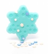 1:12 Snowflake Cookie mold