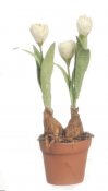 tulip plant dollshouse roombox