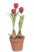 tulip plant dollshouse roombox