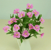 Rosa anemoner -
blomkit