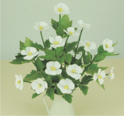 Anemones, flower kit
white