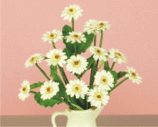 Gerbera, flower kit white
