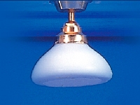 Ceiling Light with White Shade