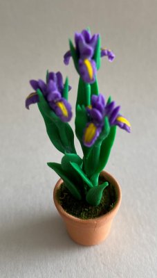 Blommor dockskå, iris