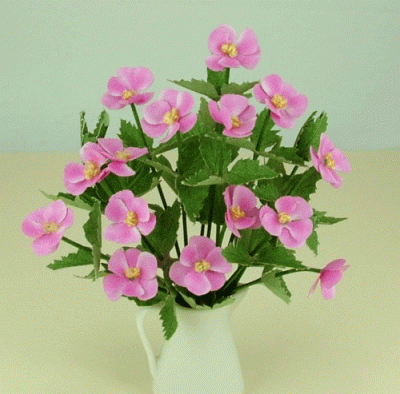 Rosa anemoner -
blomkit